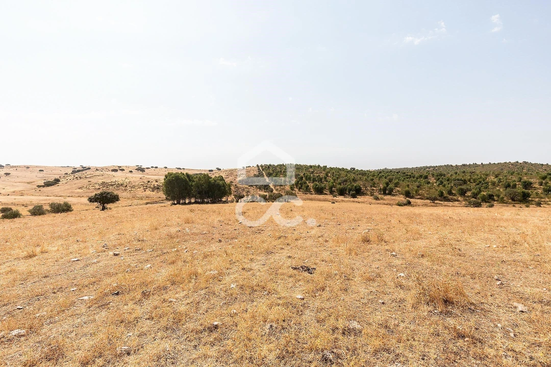 Terreno para Venda em Reguengos de Monsaraz Foto 4