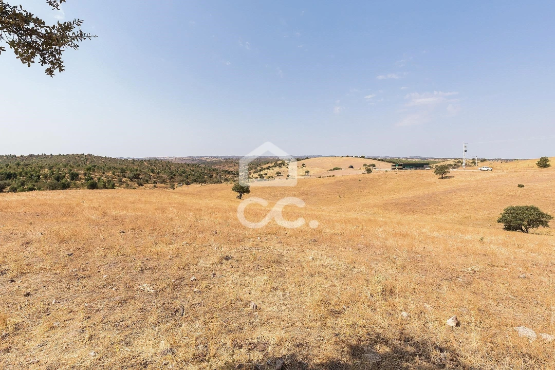 Terreno para Venda em Reguengos de Monsaraz Foto 1