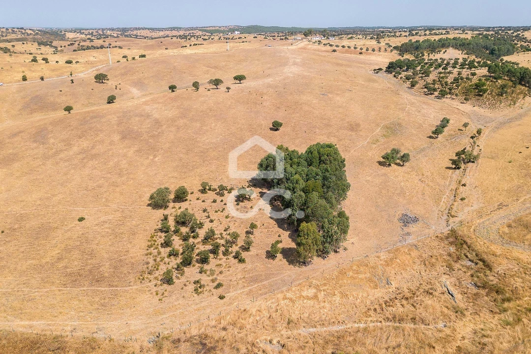 Terreno para Venda em Reguengos de Monsaraz Foto 16