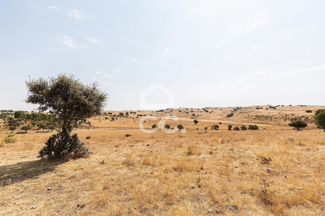 Terreno para Venda em Reguengos de Monsaraz Foto 3