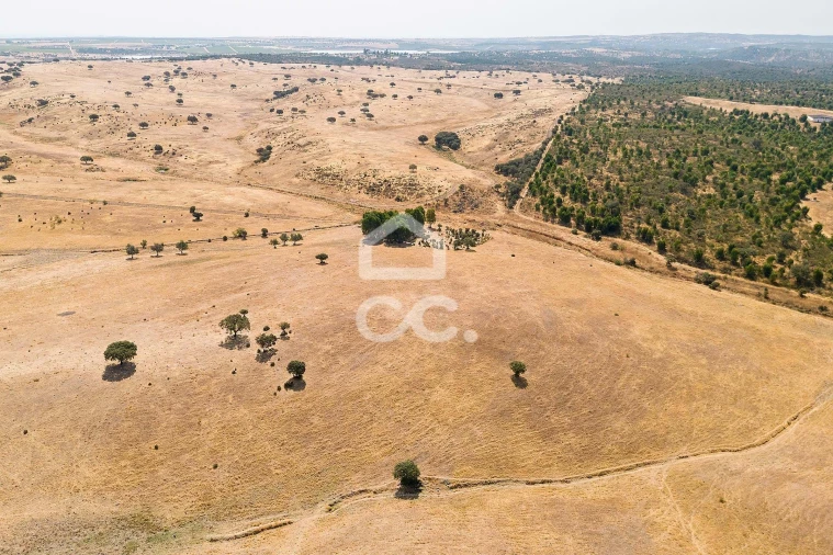 Terreno para Venda em Reguengos de Monsaraz Foto 9