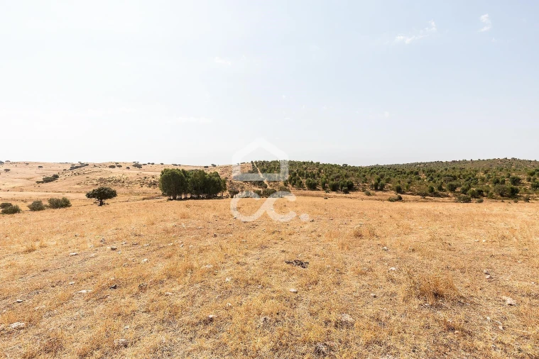 Terreno para Venda em Reguengos de Monsaraz Foto 4