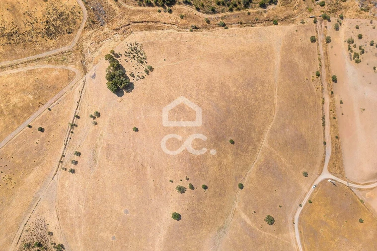 Terreno para Venda em Reguengos de Monsaraz Foto 10