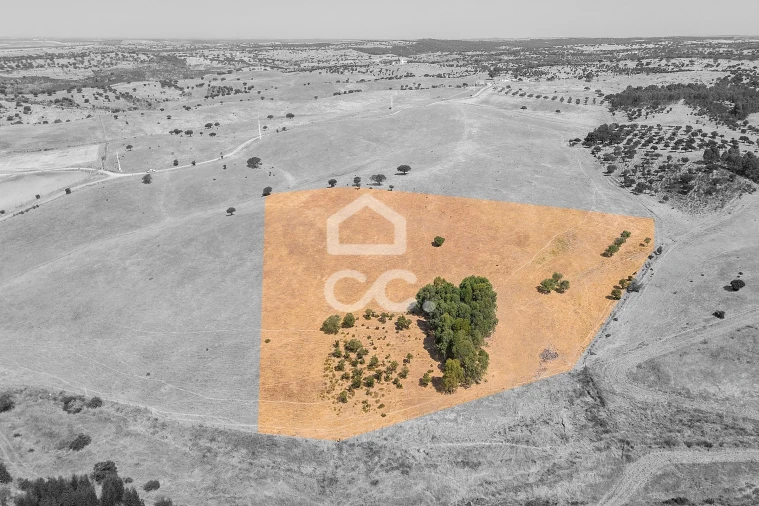 Terreno para Venda em Reguengos de Monsaraz Foto 2