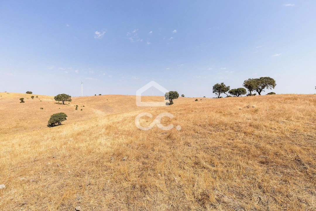Terreno para Venda em Reguengos de Monsaraz Foto 5