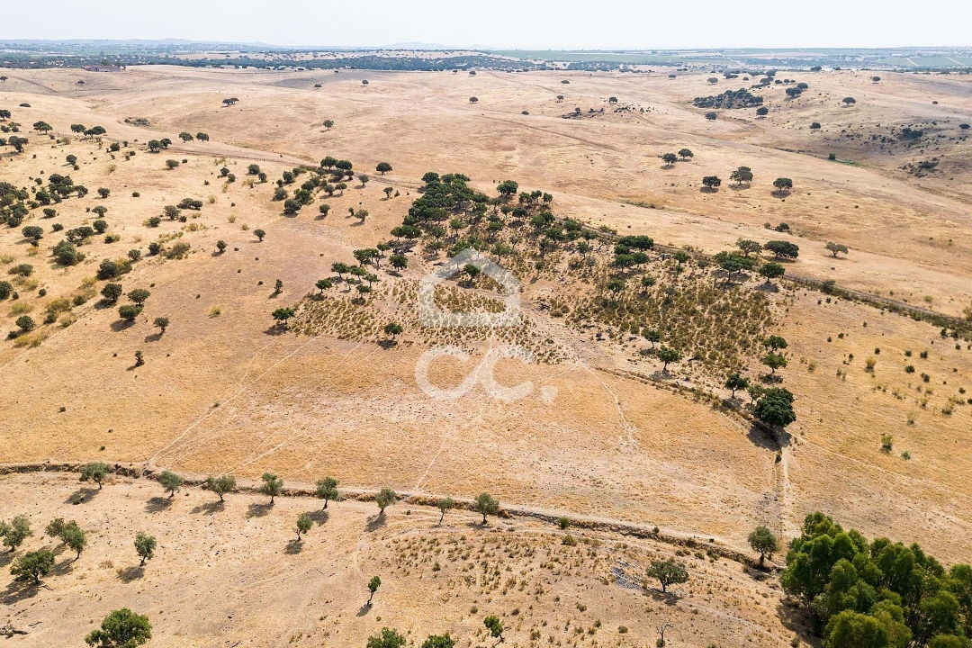 Terreno para Venda em Reguengos de Monsaraz Foto 20