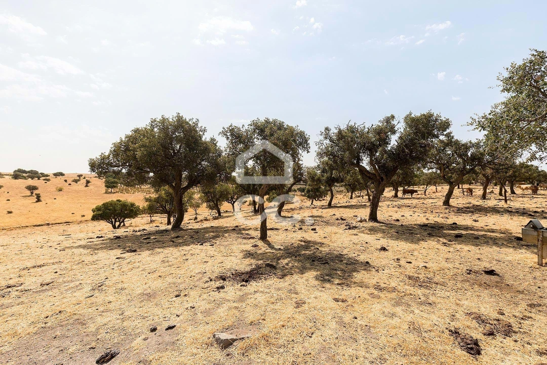 Terreno para Venda em Reguengos de Monsaraz Foto 9