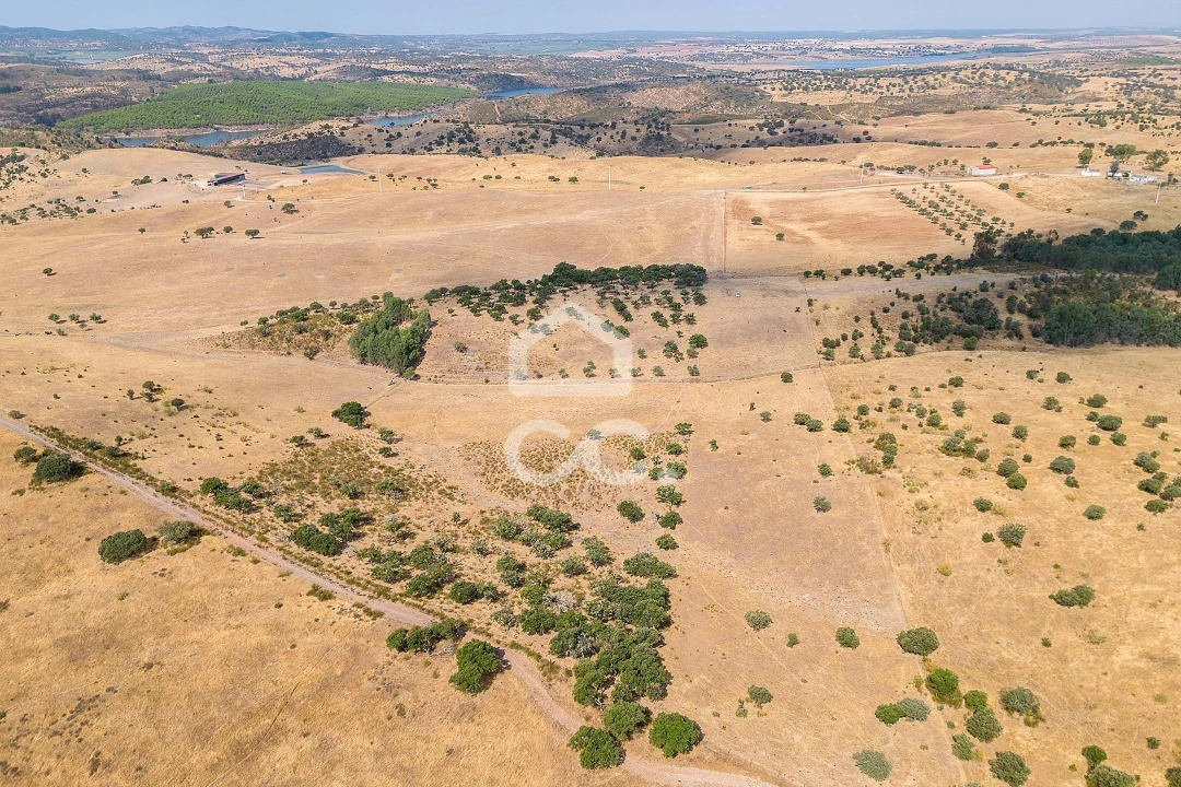 Terreno para Venda em Reguengos de Monsaraz Foto 13
