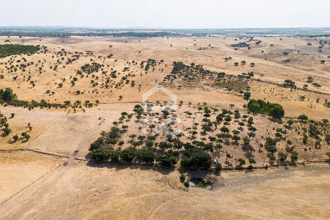 Terreno para Venda em Reguengos de Monsaraz Foto 17