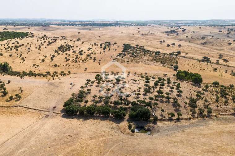 Terreno para Venda em Reguengos de Monsaraz Foto 17