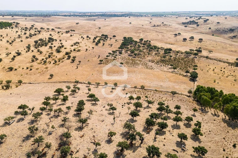 Terreno para Venda em Reguengos de Monsaraz Foto 19