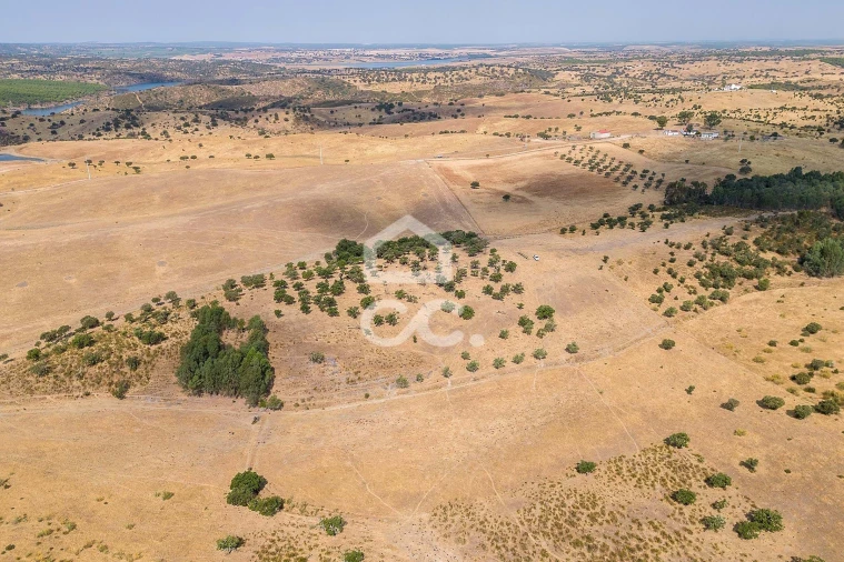 Terreno para Venda em Reguengos de Monsaraz Foto 15