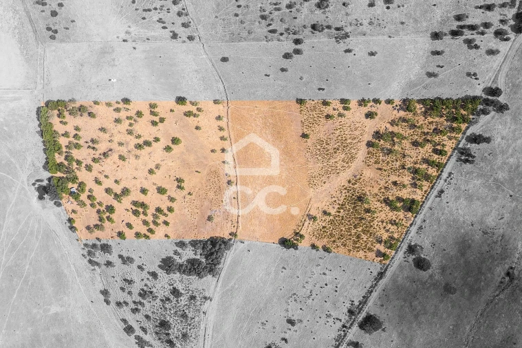 Terreno para Venda em Reguengos de Monsaraz Foto 23