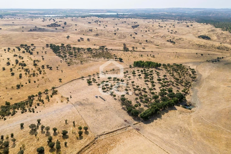 Terreno para Venda em Reguengos de Monsaraz Foto 11