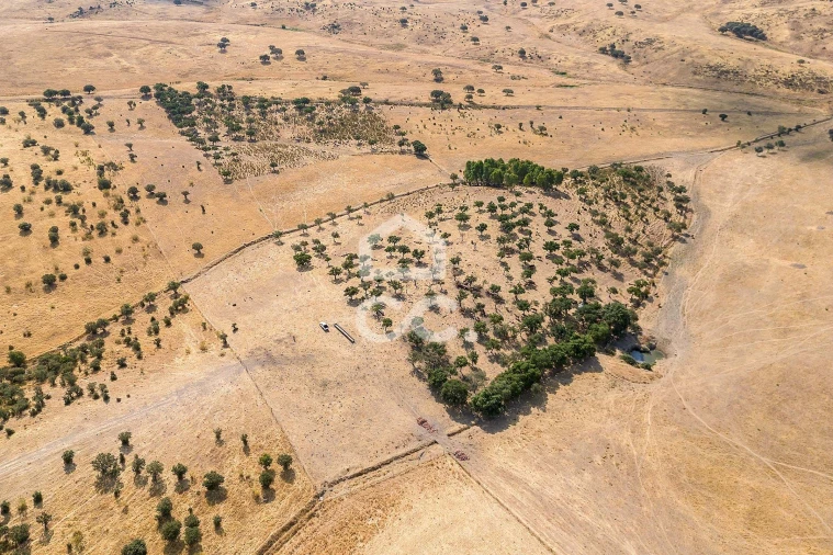Terreno para Venda em Reguengos de Monsaraz Foto 10