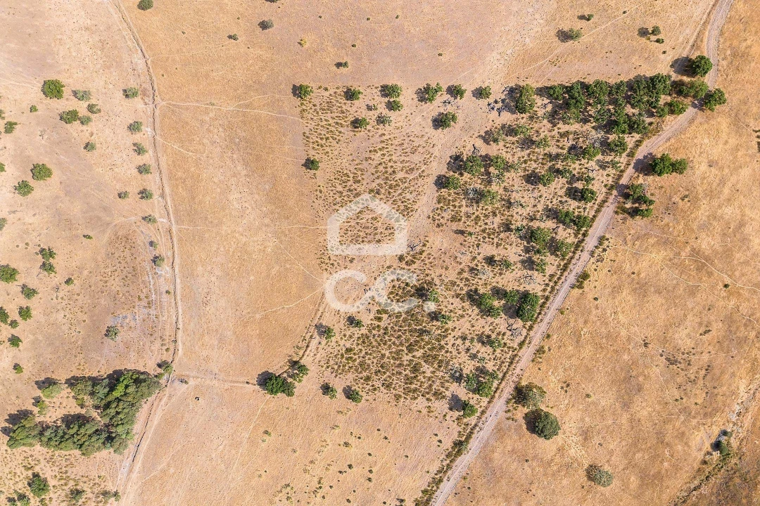 Terreno para Venda em Reguengos de Monsaraz Foto 21