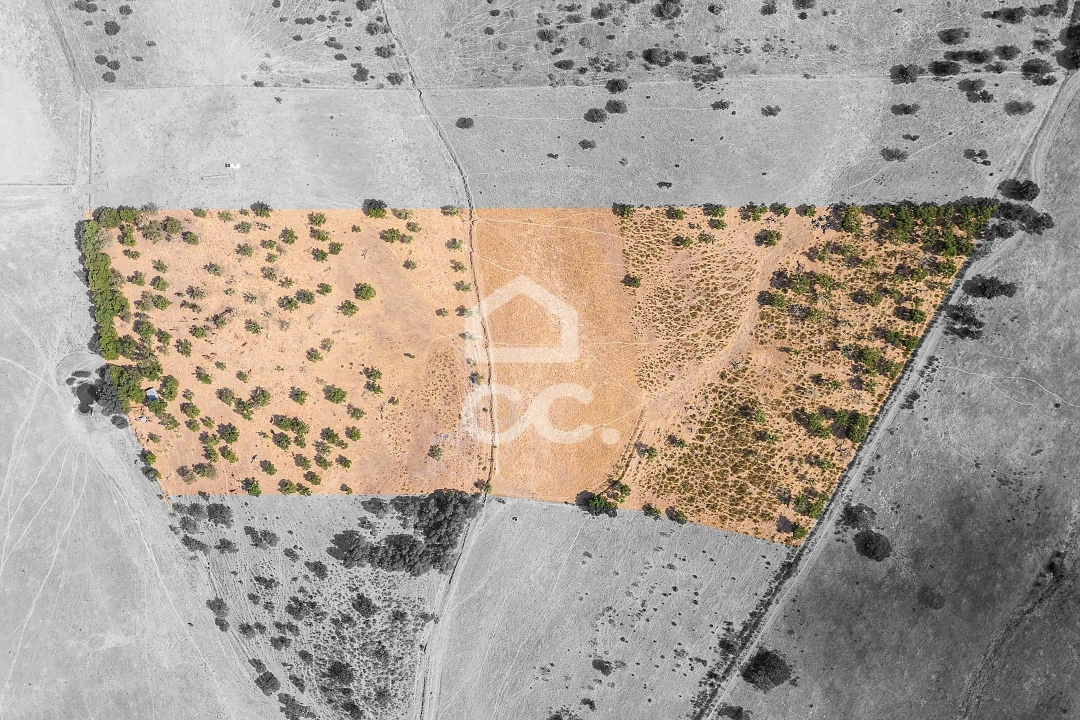 Terreno para Venda em Reguengos de Monsaraz Foto 23
