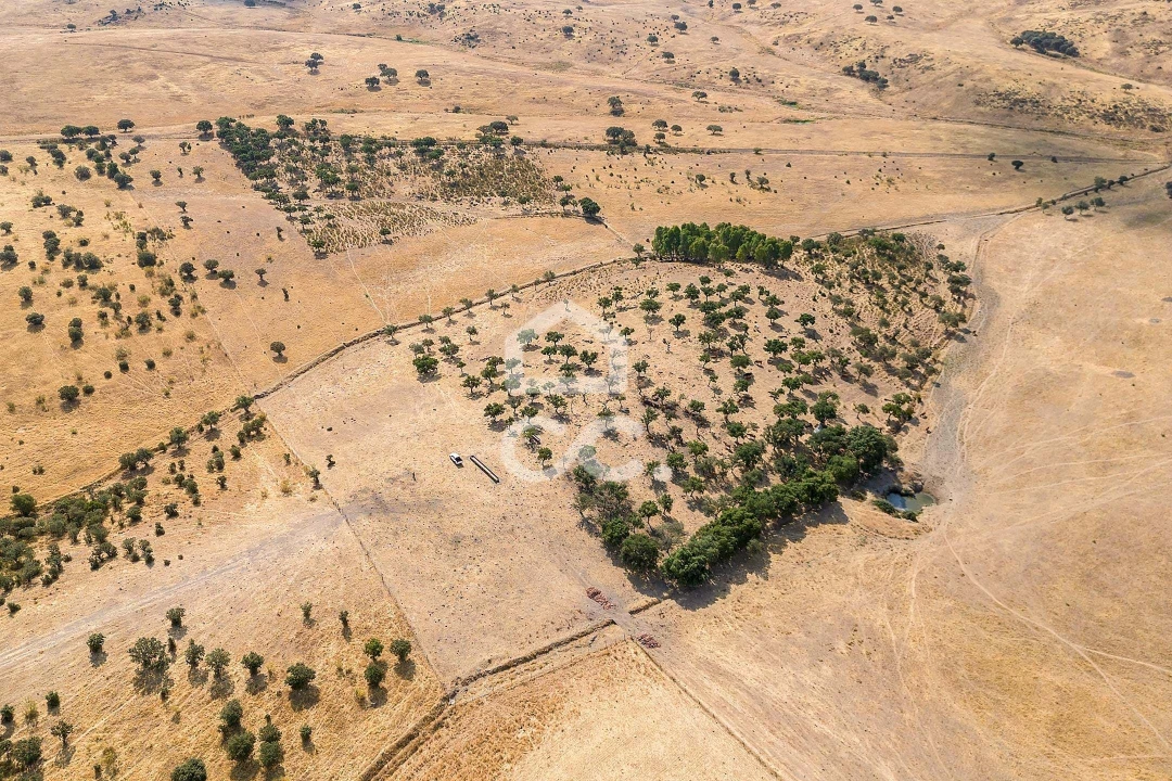 Terreno para Venda em Reguengos de Monsaraz Foto 10