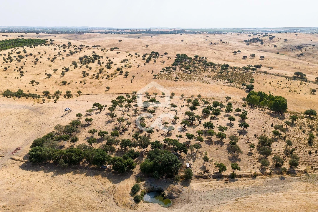 Terreno para Venda em Reguengos de Monsaraz Foto 18