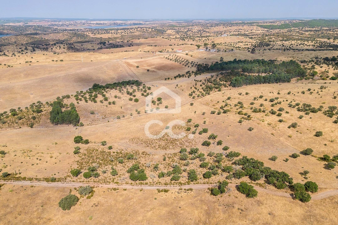 Terreno para Venda em Reguengos de Monsaraz Foto 14