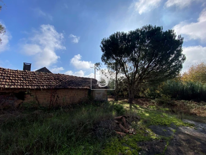 Moradia T2 para Venda em Buarcos Foto 9