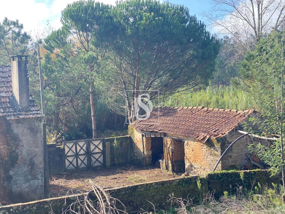 Moradia T2 para Venda em Buarcos Foto 5