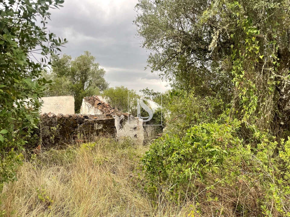 Moradia para Venda em Montargil Foto 30