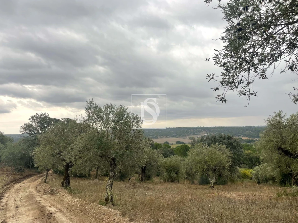 Moradia para Venda em Montargil Foto 10