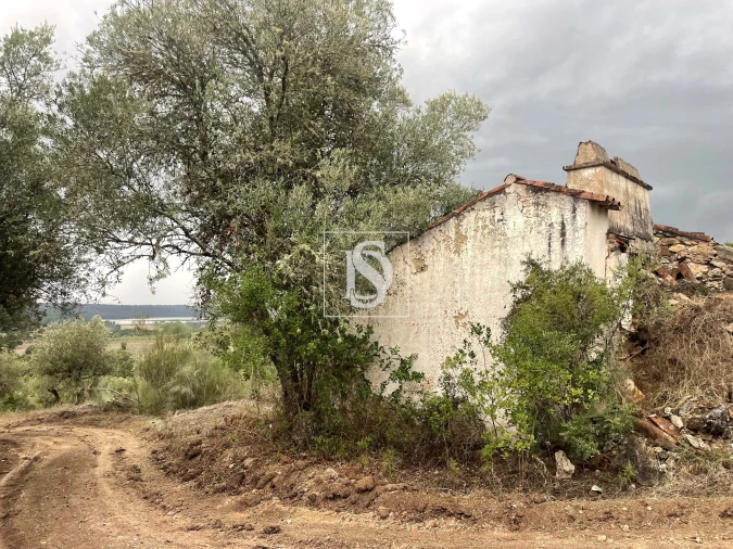 Moradia para Venda em Montargil Foto 13