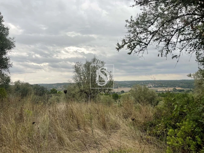 Moradia para Venda em Montargil Foto 15