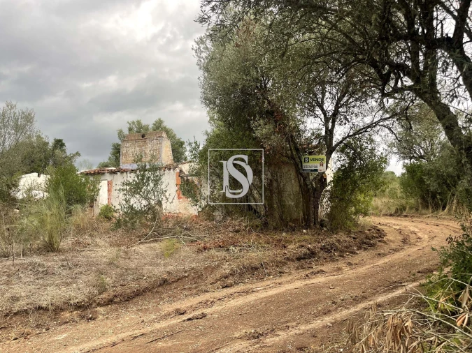 Moradia para Venda em Montargil