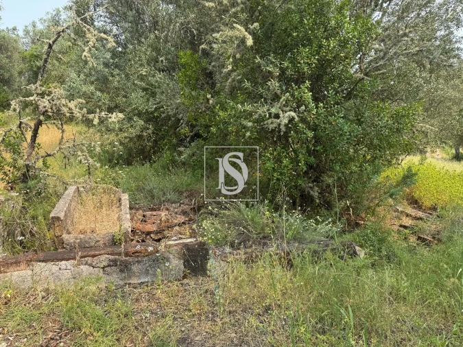 Moradia para Venda em Montargil Foto 9