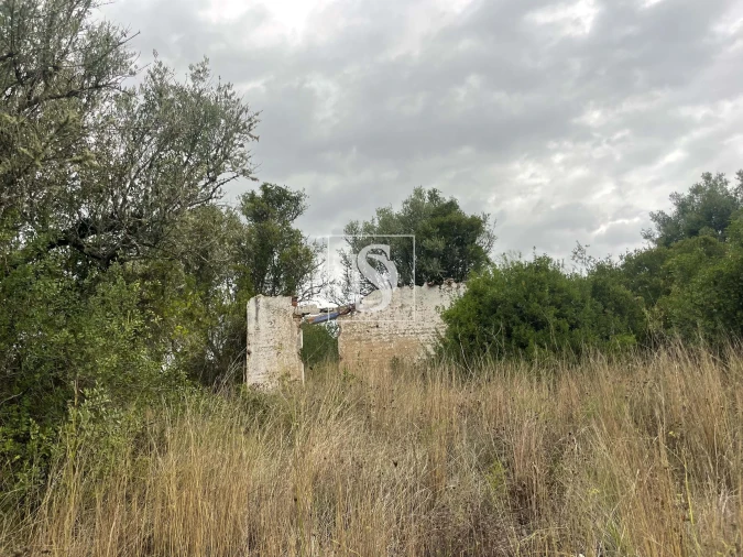 Moradia para Venda em Montargil Foto 27