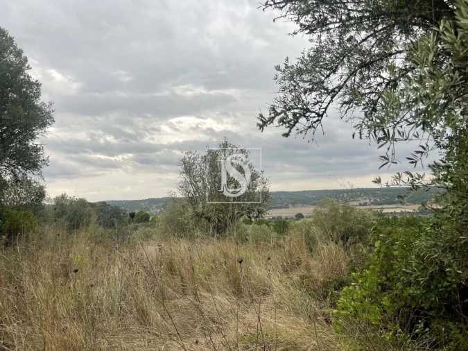 Moradia para Venda em Montargil Foto 2