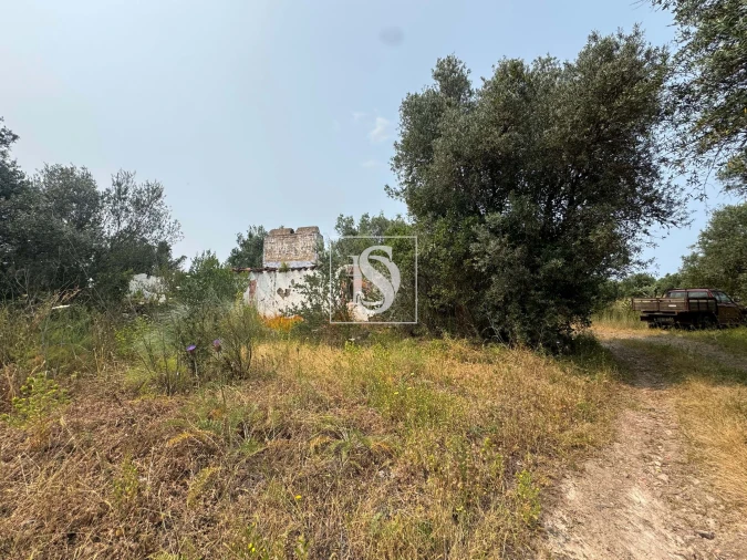 Moradia para Venda em Montargil Foto 4