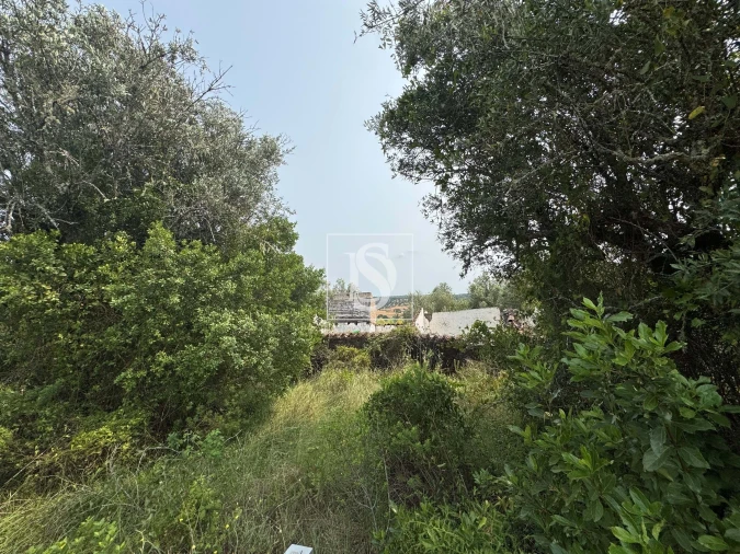 Moradia para Venda em Montargil Foto 3