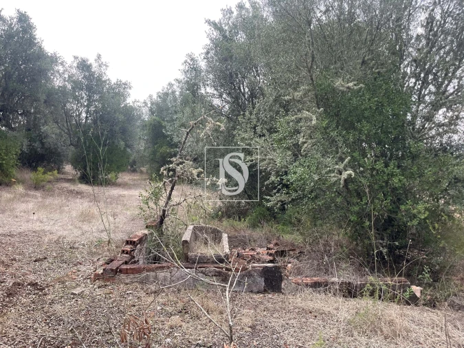 Moradia para Venda em Montargil Foto 25