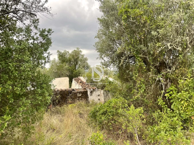 Moradia para Venda em Montargil Foto 17