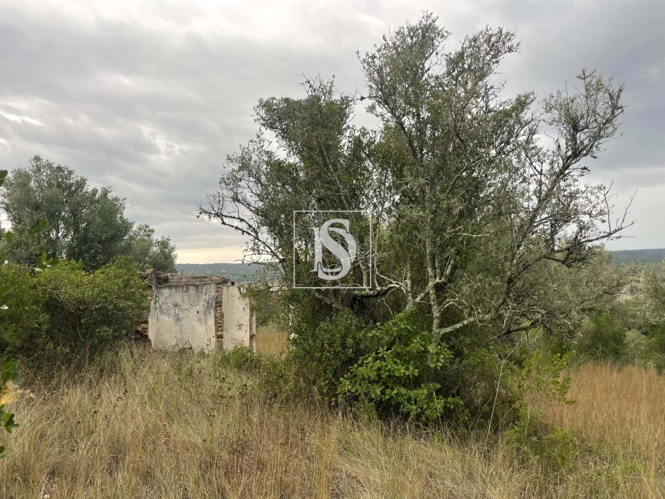 Moradia para Venda em Montargil Foto 29