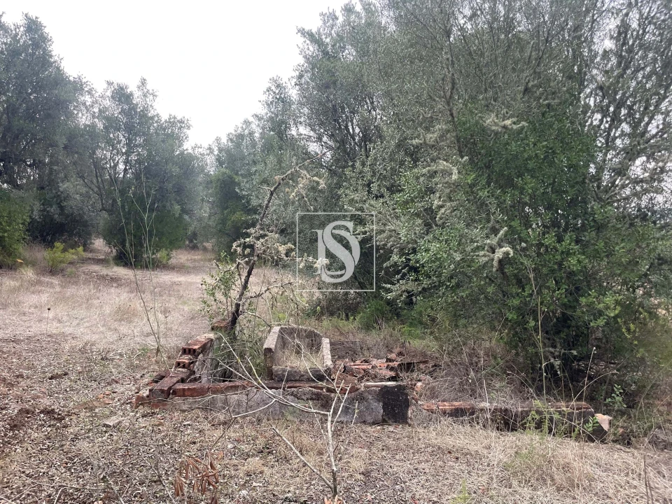 Moradia para Venda em Montargil Foto 25