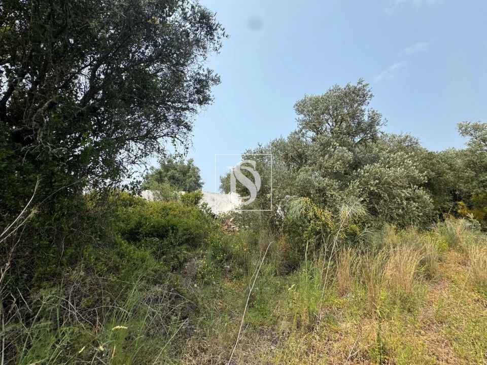 Moradia para Venda em Montargil Foto 7