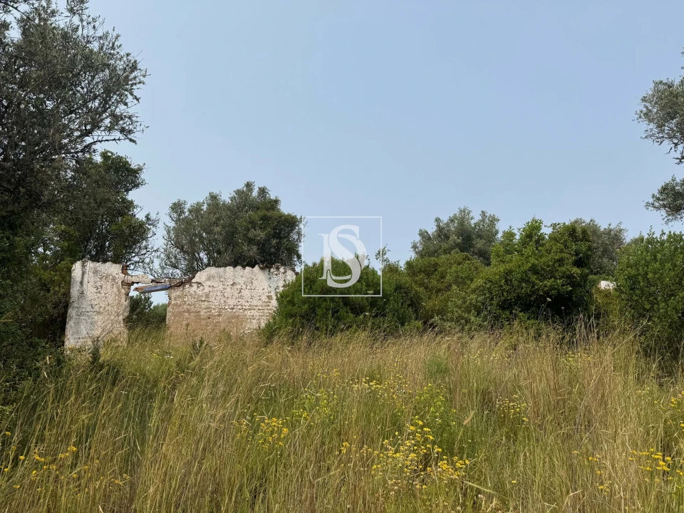 Moradia para Venda em Montargil Foto 6