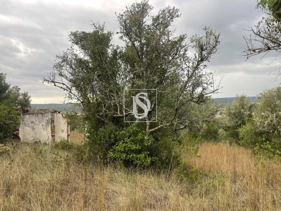 Moradia para Venda em Montargil Foto 11