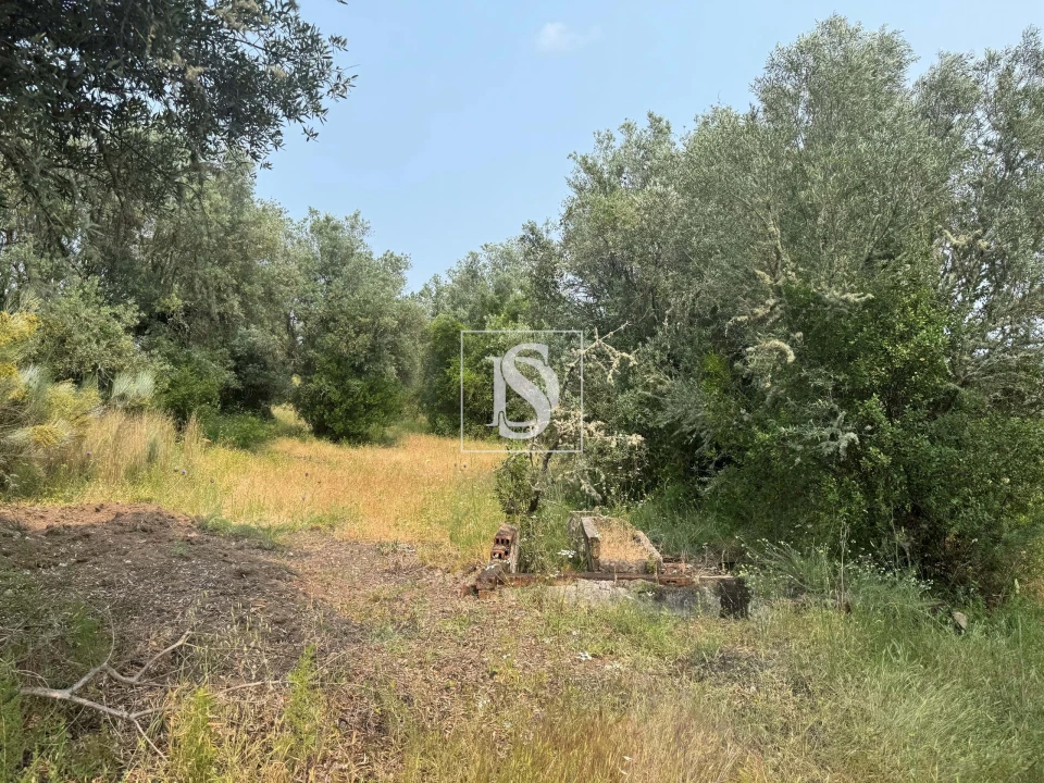 Moradia para Venda em Montargil Foto 8