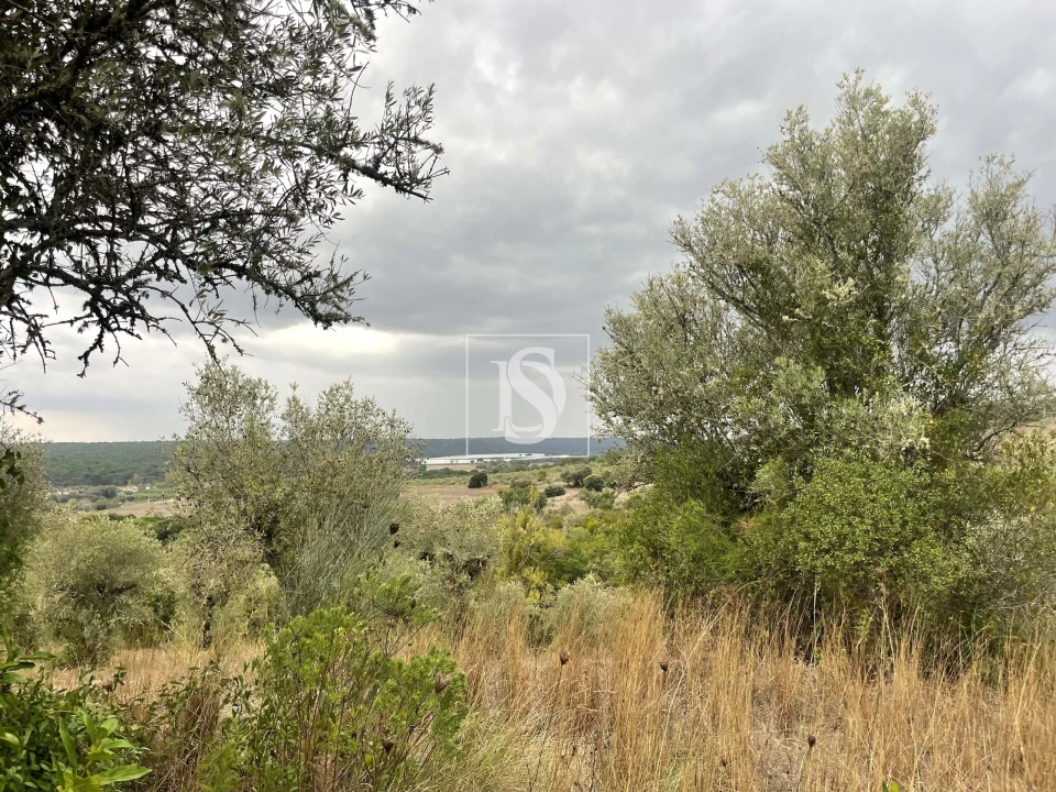 Moradia para Venda em Montargil Foto 28