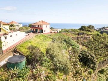 Terreno para Venda em Ponta do Sol