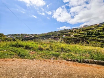 Terreno para Venda em Ponta do Sol