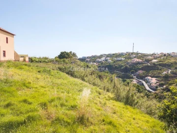 Terreno para Venda em Ponta do Sol
