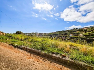 Terreno para Venda em Ponta do Sol