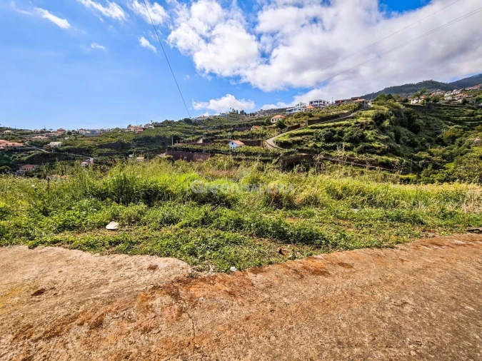 Terreno para Venda em Ponta do Sol Foto 6